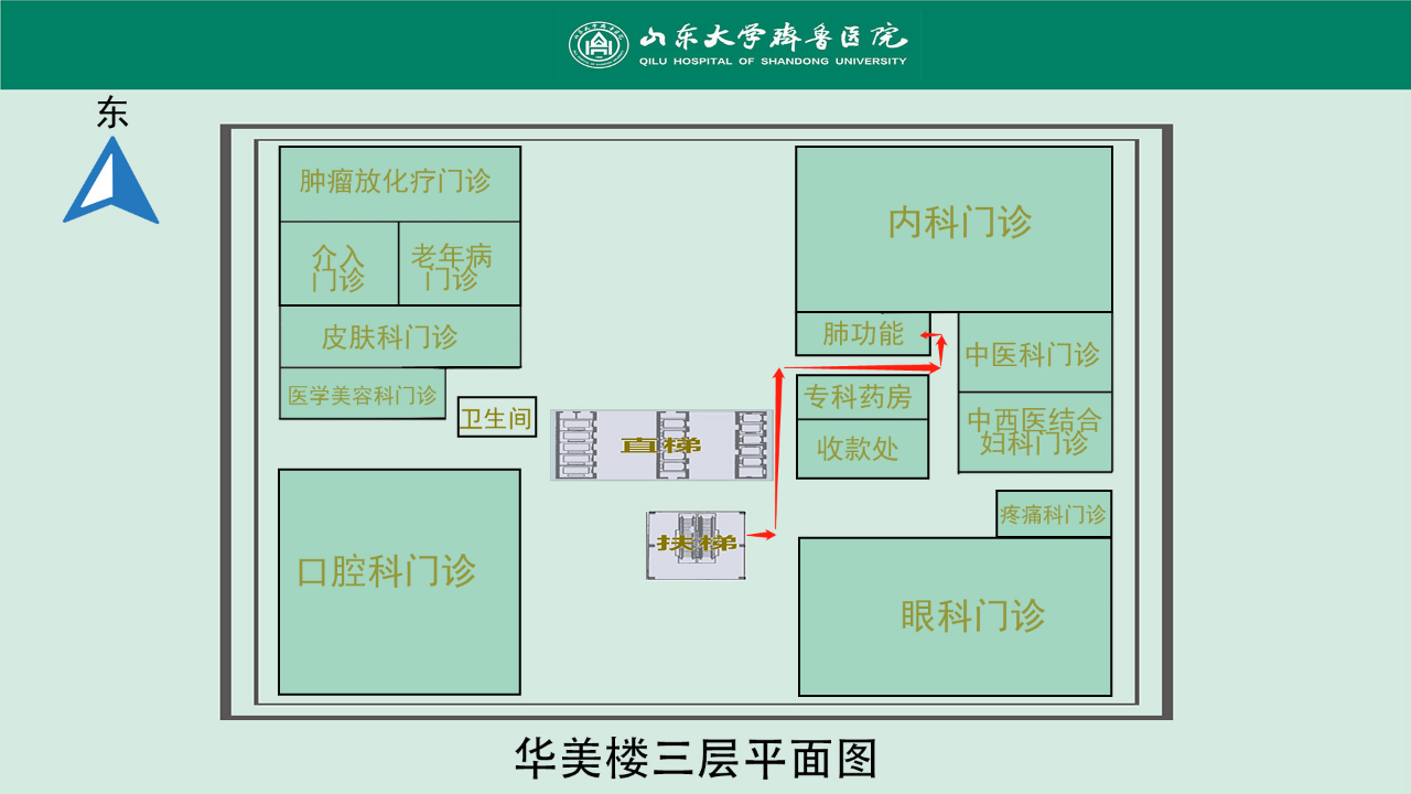 齐鲁医院华美楼平面图图片